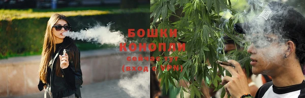 ГАЛЛЮЦИНОГЕННЫЕ ГРИБЫ Кодинск