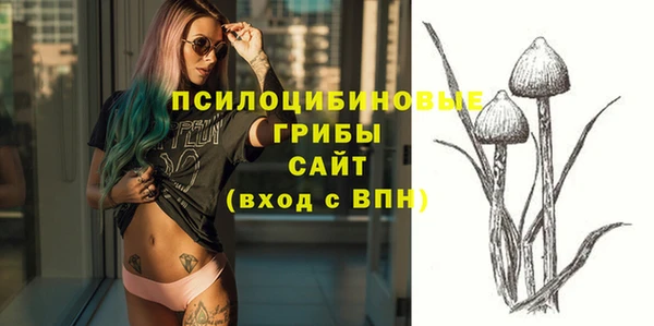герыч Тайга