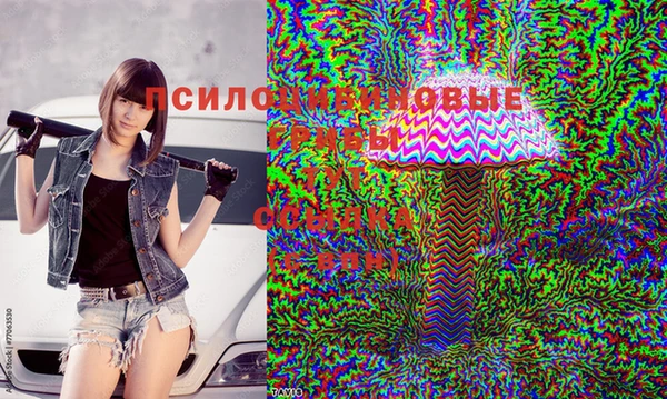 ГАЛЛЮЦИНОГЕННЫЕ ГРИБЫ Кодинск